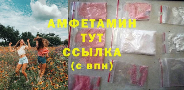 шишки Балахна