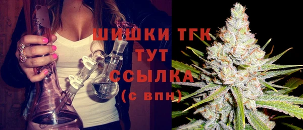 шишки Балахна