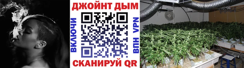 МАРИХУАНА семена Черногорск